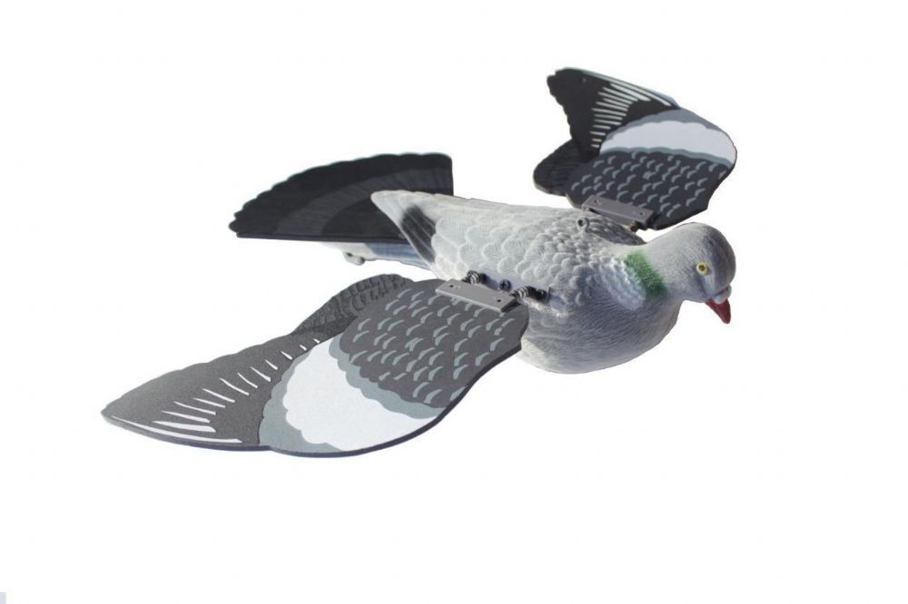 Floating Pigeon with Spring Wings